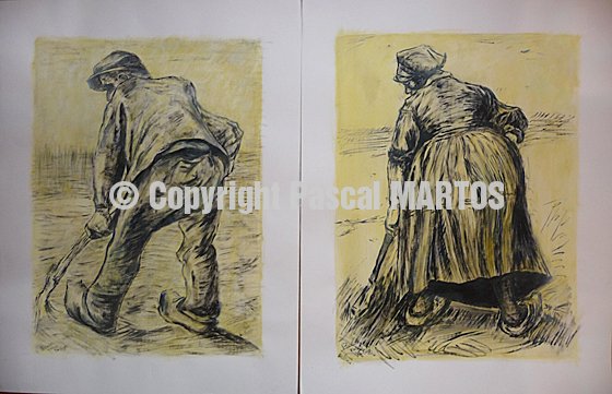 Copy of Van Gogh's drawings